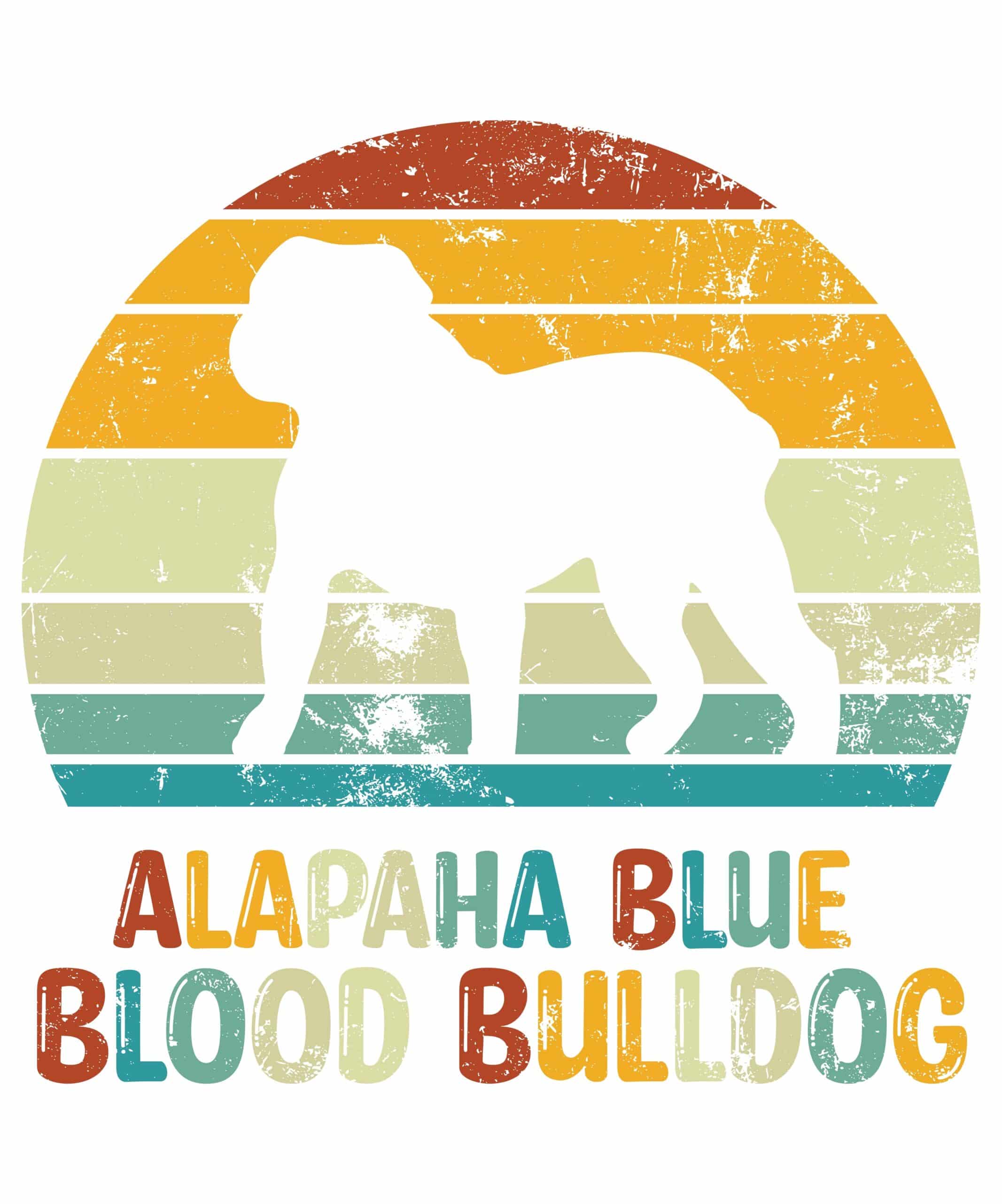 physical Alapaha Blue Blood Bulldog