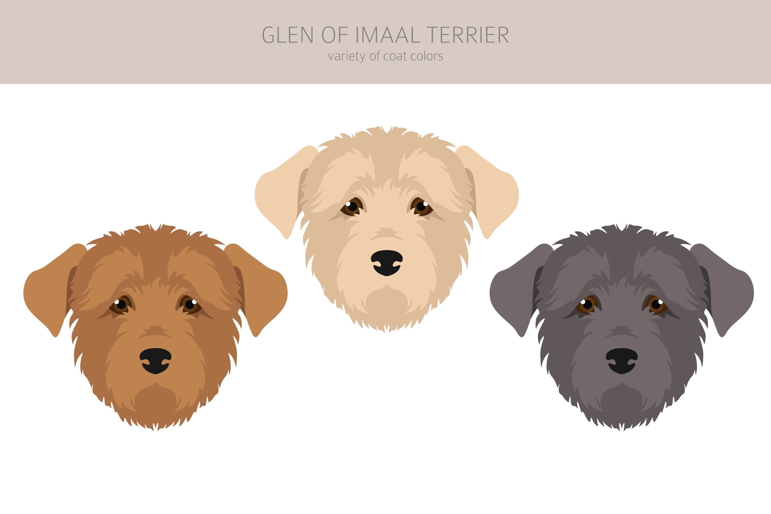 history of Glen of Imaal Terrier