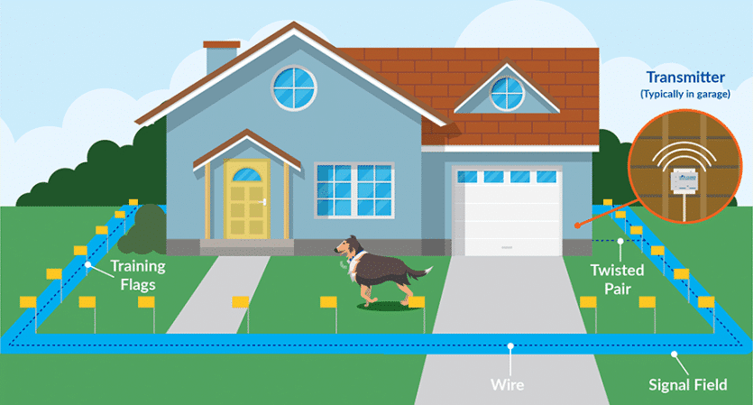 How Does An Electric Dog Fence work