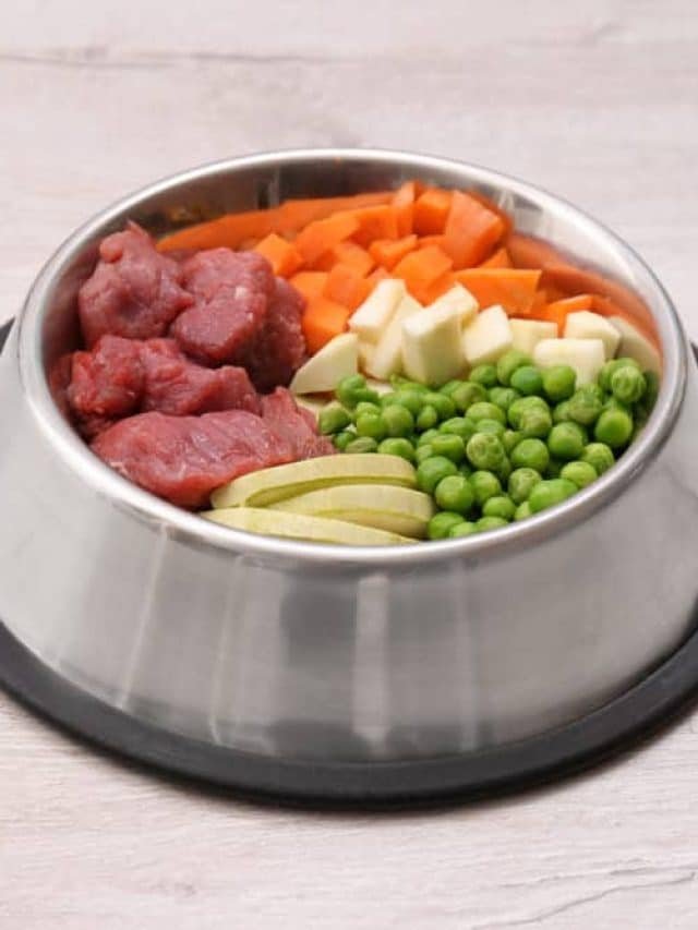 Can Dogs Eat Peas ?