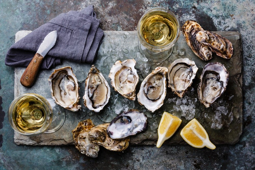 Can Dogs Eat Oysters