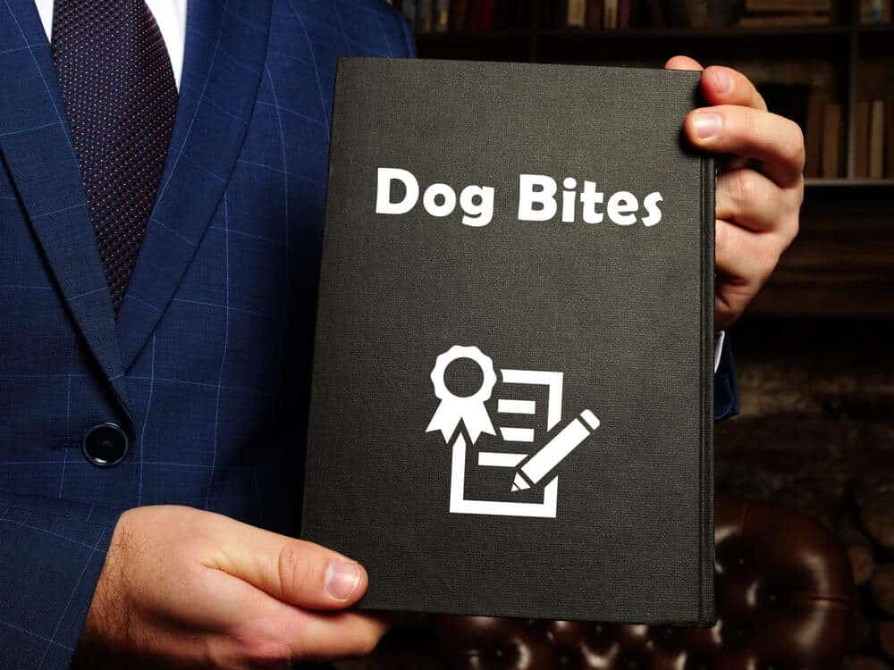 Dog Bite Lawyer