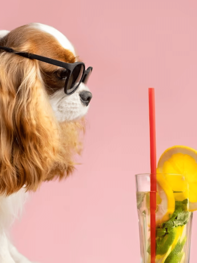 Can Dogs Eat Lemon?