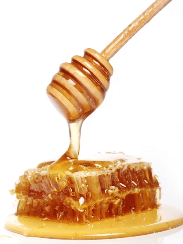 Can Dogs Eat Honey?