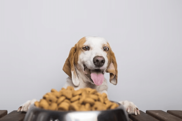 are honey nut cheerios good for dogs